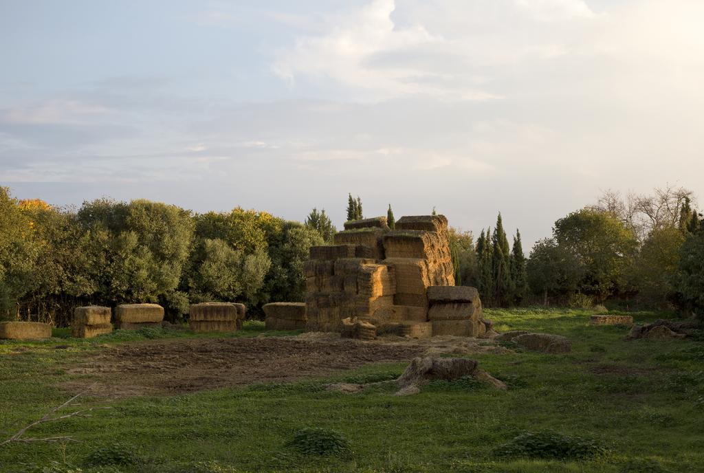Cuevas Del Pino Turismo Rural Y Emocional Sl Villarrubia 외부 사진
