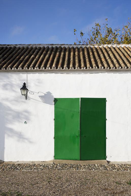 Cuevas Del Pino Turismo Rural Y Emocional Sl Villarrubia 외부 사진