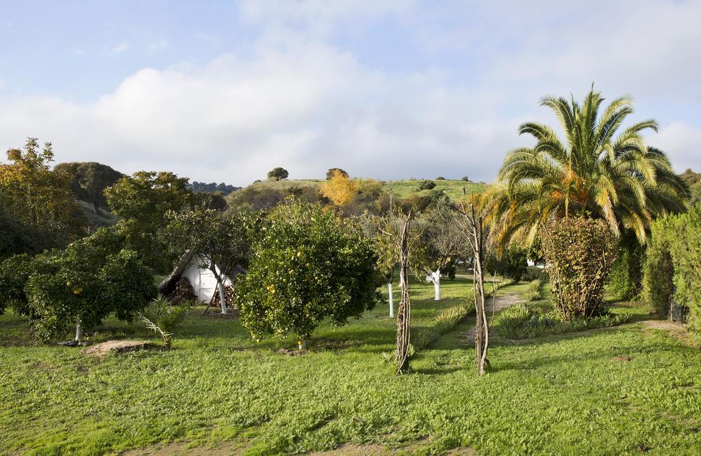 Cuevas Del Pino Turismo Rural Y Emocional Sl Villarrubia 외부 사진